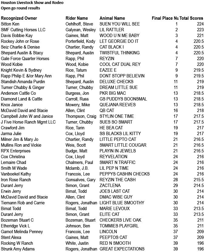 Houst Mer Open 1st Go Results